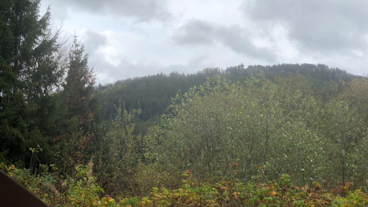 Fewo Berg Idyllika Willingen  Exterior foto