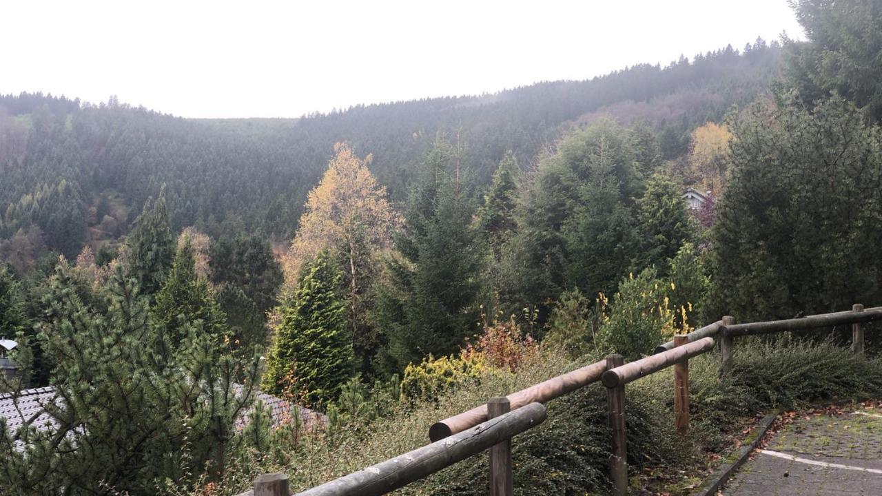 Fewo Berg Idyllika Willingen  Exterior foto