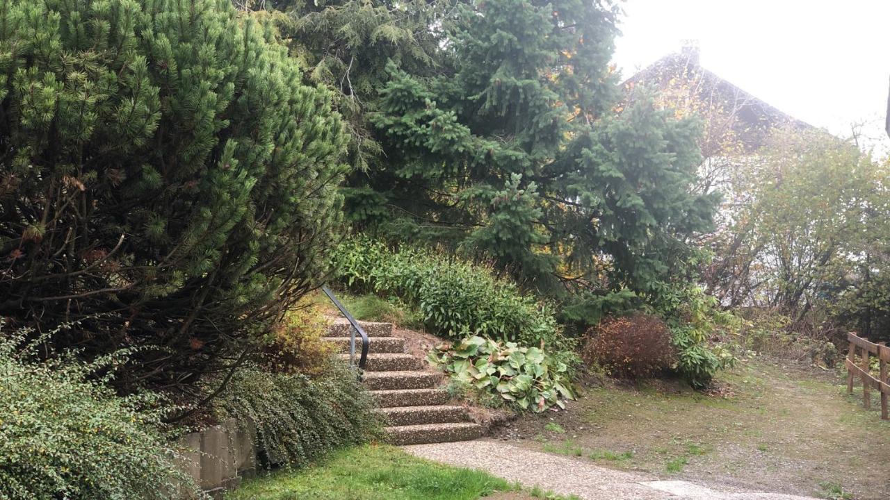 Fewo Berg Idyllika Willingen  Exterior foto
